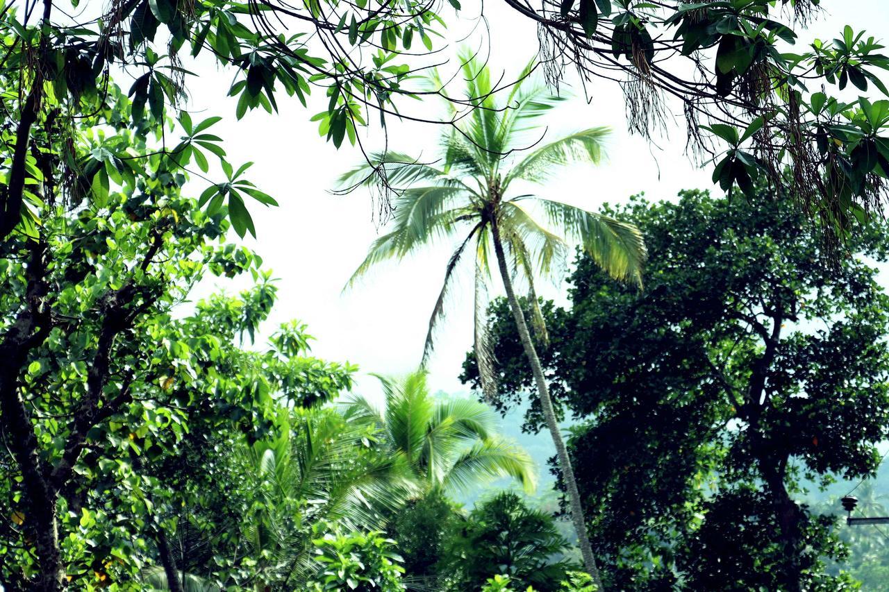 Villa Royce Kandy Eksteriør bilde