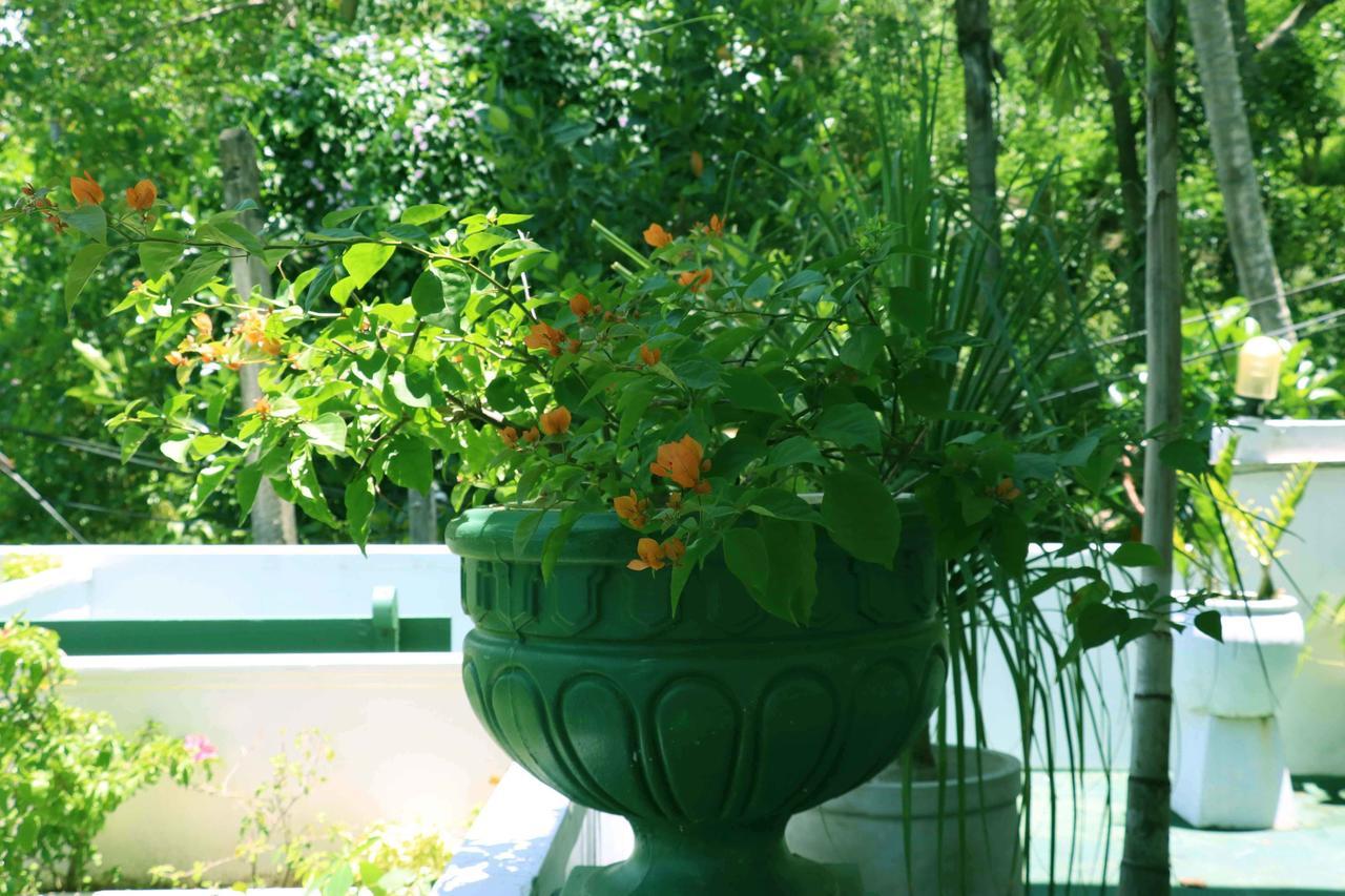Villa Royce Kandy Eksteriør bilde